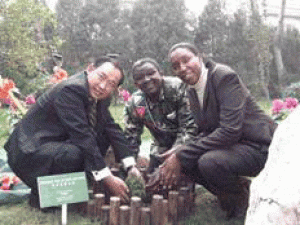 和平基金会主席携手肯尼亚大使和苑栽友谊树　