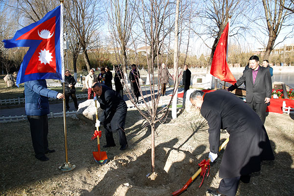 尼泊尔和平景观石揭幕仪式在和苑大使村举行