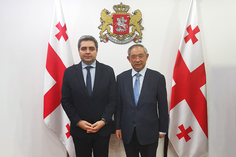 Li Ruohong Talks with Georgian Ambassador  on Regional Thematic Cultural Interaction